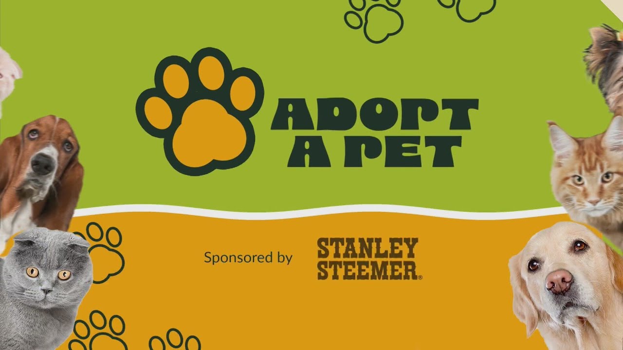 Adopt A Pet | May 23, 2025 | News 19 at 4:30 p.m.