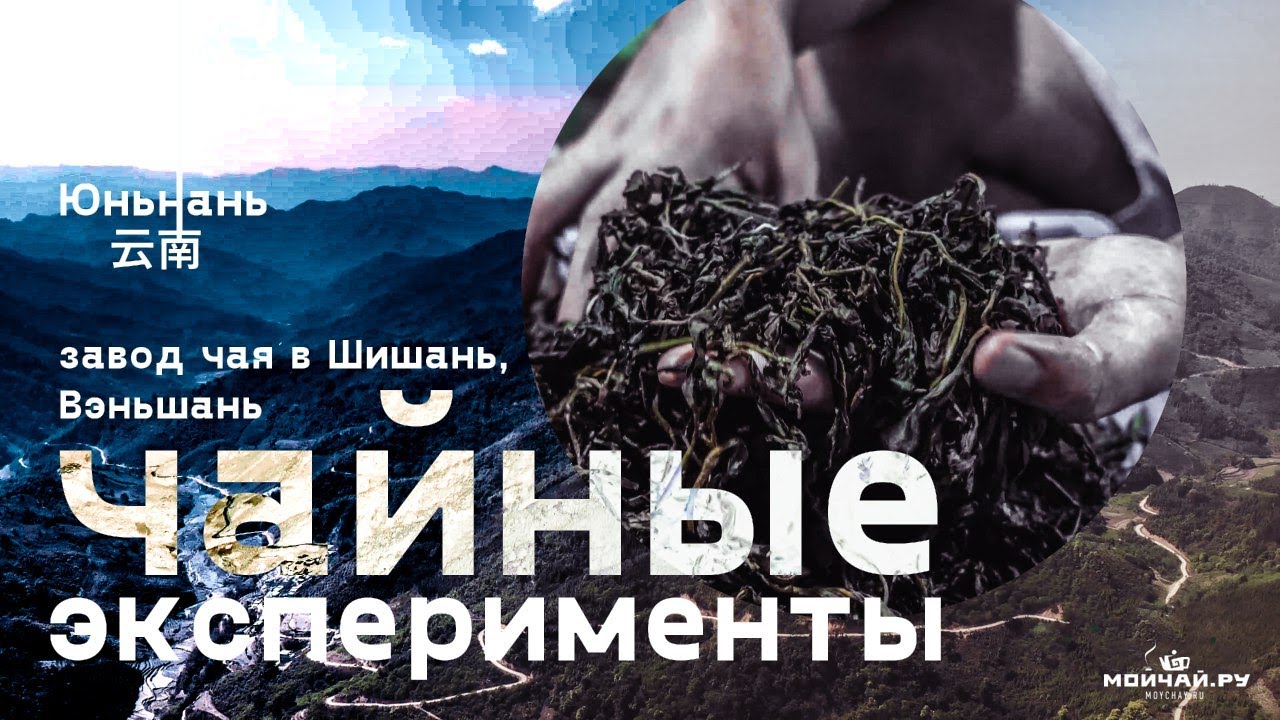 Юньнань. Эксперименты на заводе чая в Вэньшань.