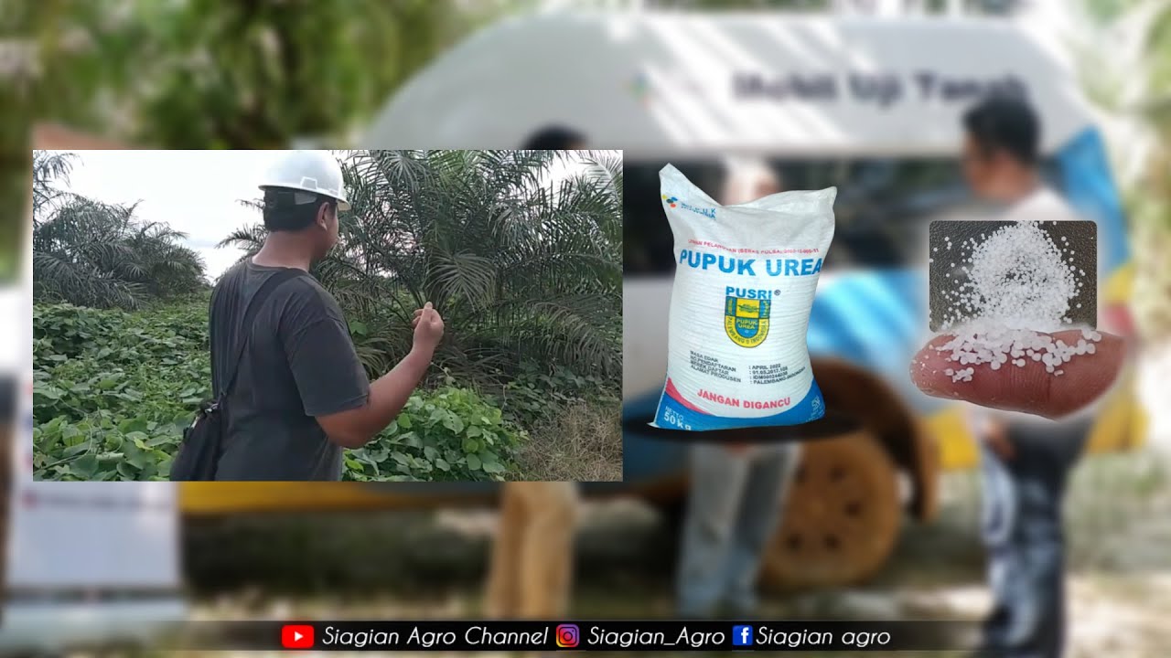 Pupuk UREA Pusri