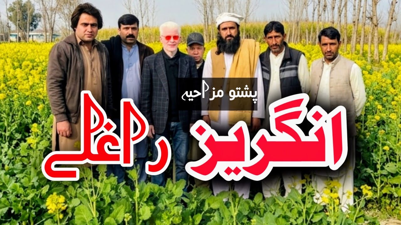 Angrez Ragle | Pashto Funny Video | Pashto Comedy Video By BD Vines 2026 #bdvines 