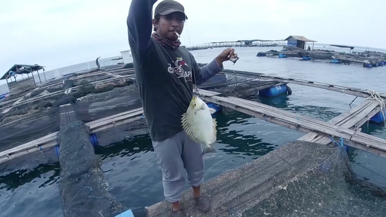 Mancing di Keramba Kampung Kerapu || Solusi Mancing Asyik di Musim Baratan & Anti Virus Corona