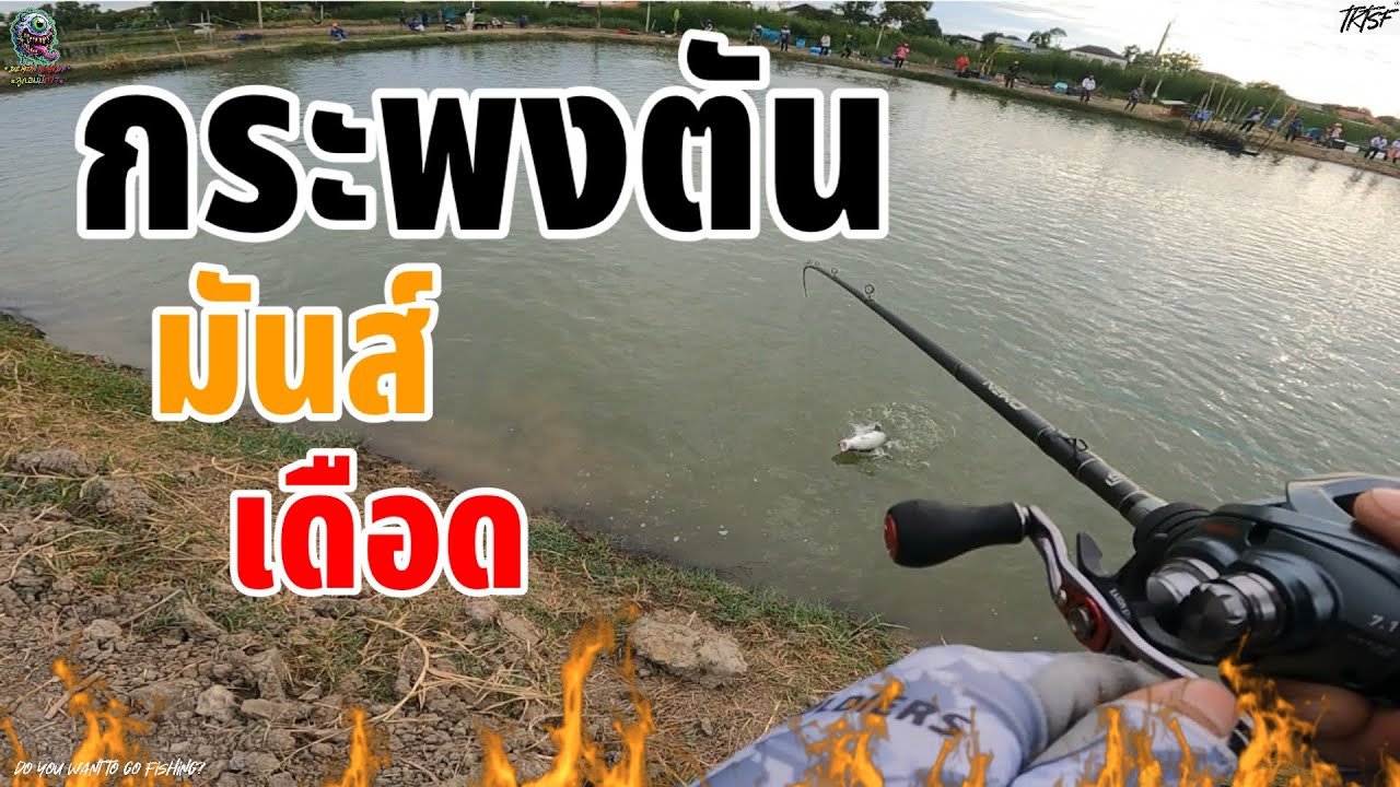 ลมหนาวแรกของปี กลับมาอีกครั้ง บ่อไลฟ์สไตล์หนองจอก แมตซ์ปลาตัน มันสุดๆ ปลาใหญ่ไซร์โครตตึง!!