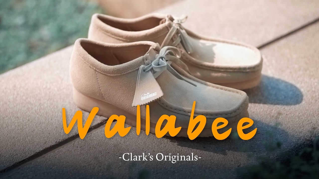Clark's Wallabee Maple Suede รองเท้าสุด Classic ที่คุณควรรู้จัก