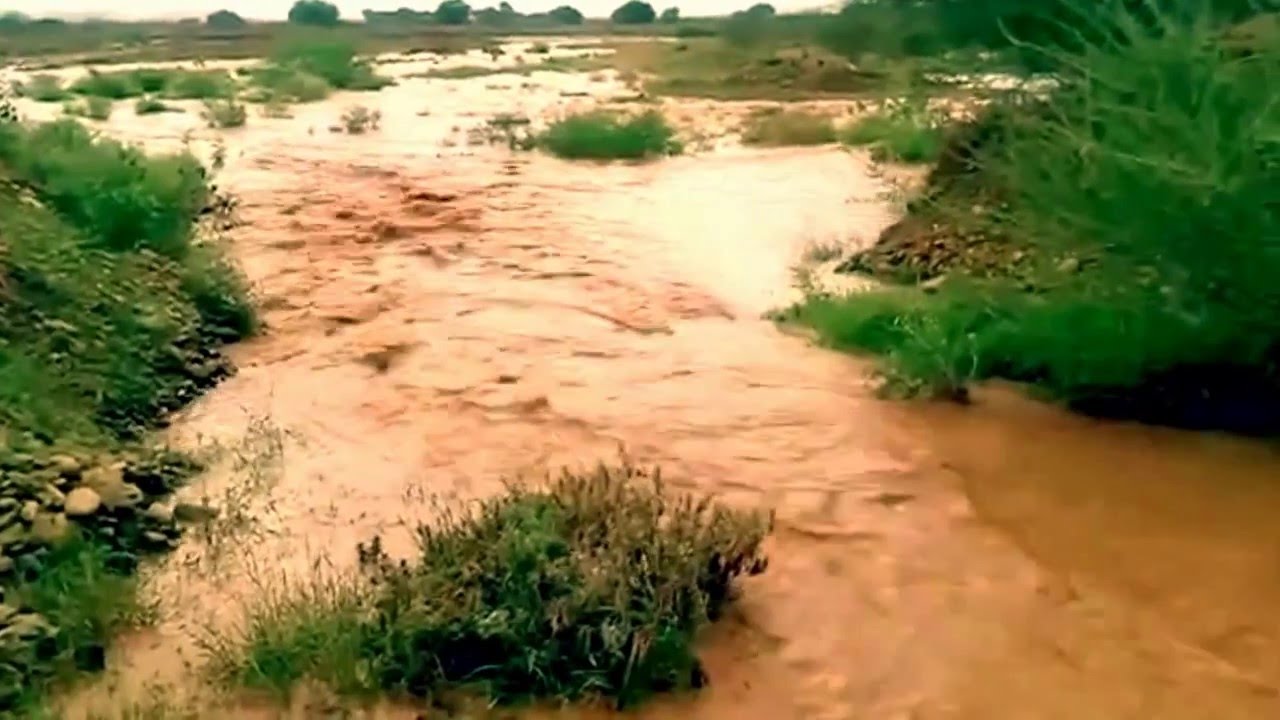 شلة اتذكرك - كلمات محمد بن اسلوم - أداء محمد المناعي
