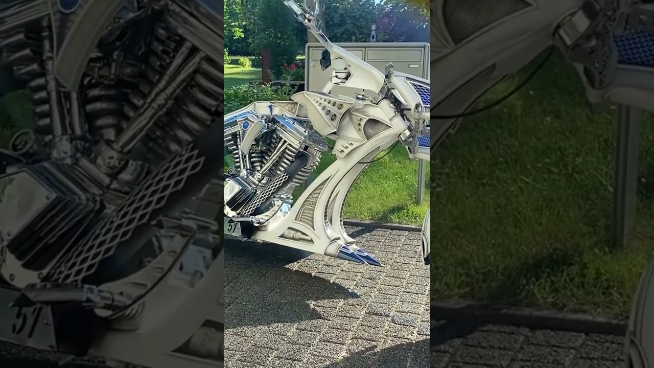 Unique custom bike!