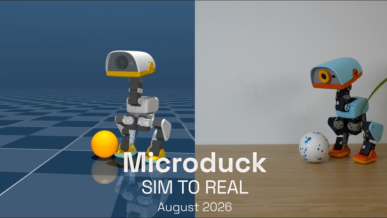 Microduck Sim 2 Real.