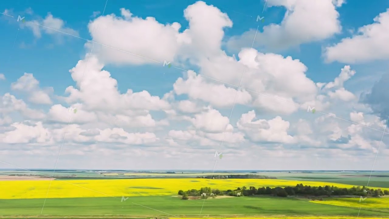 Aerial View Of Agricultural Landscape With Flowering Blooming Rapeseed, Oilseed In Field Meadow In