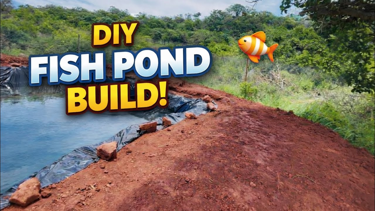 My homestead fish pond is finally done 