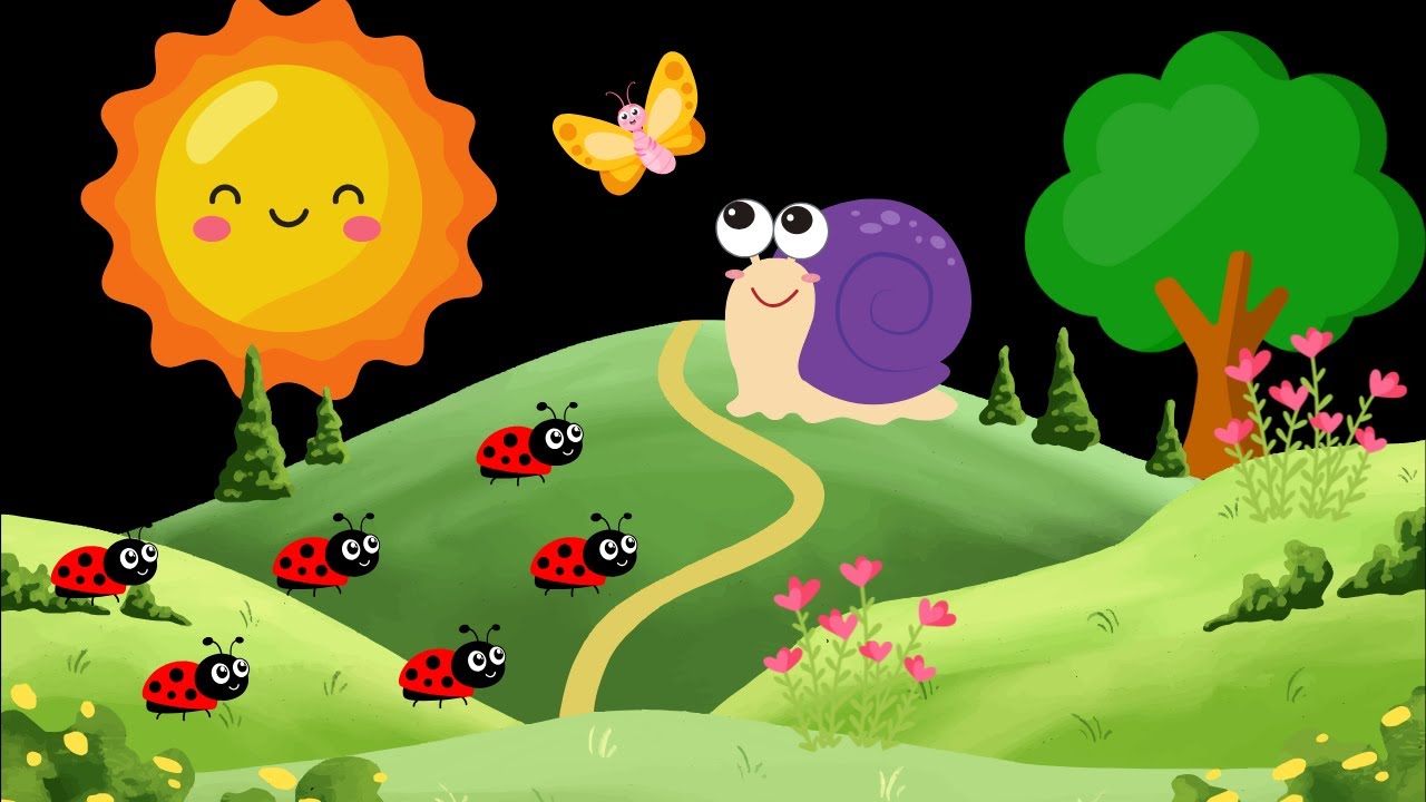 Snail's Trail: A slow and soothing baby sensory video with high contrast