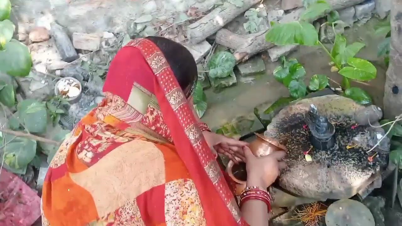 24 फरवरी मंगलवार फाल्गुन सप्तमी के दिन हल्दी और गुड़ वाला उपाय जरूर करें |#pradeepmishrajidhankeupay