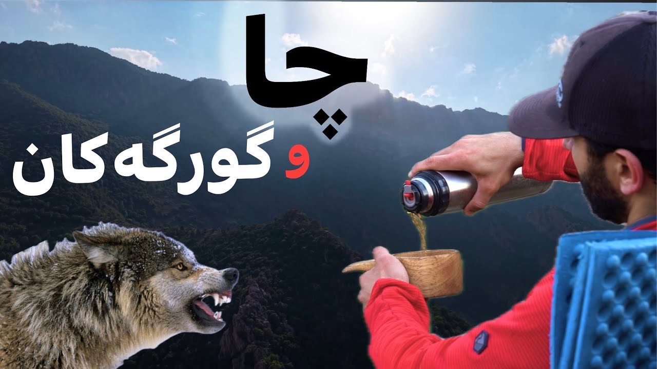 چایەک لەگەڵ دەنگی گورگەکان Tea with the Sound of Wolves