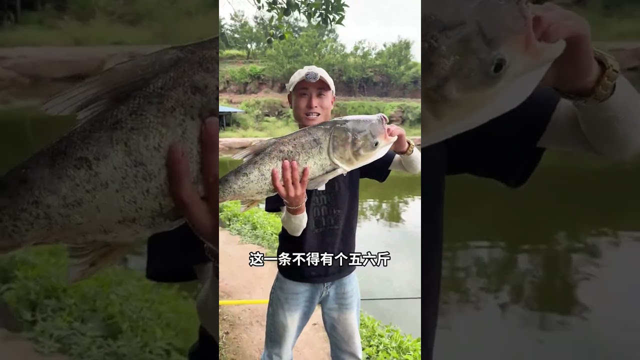 借鱼做饭香味飘,钓鱼还鱼情谊到