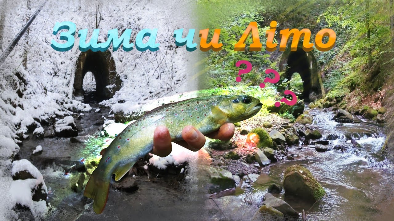 🎣❄️☀️Річка взимку чи влітку? Одне місце — два світи=.=