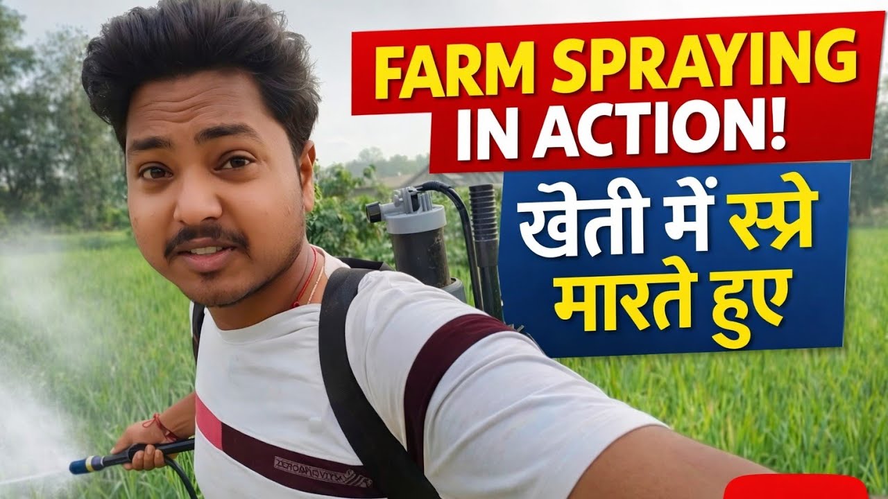 Khet Ki Fasal Bachane Ke Liye Dawaai Ka Spray | Aaj Pure Khet Mein Dawaai Ka Chhidkaav😮 Farming Vlog