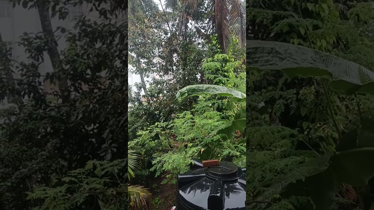 I am live from 🌧️ Udupi Monsoon Magic! Rainy Day in Karnataka india