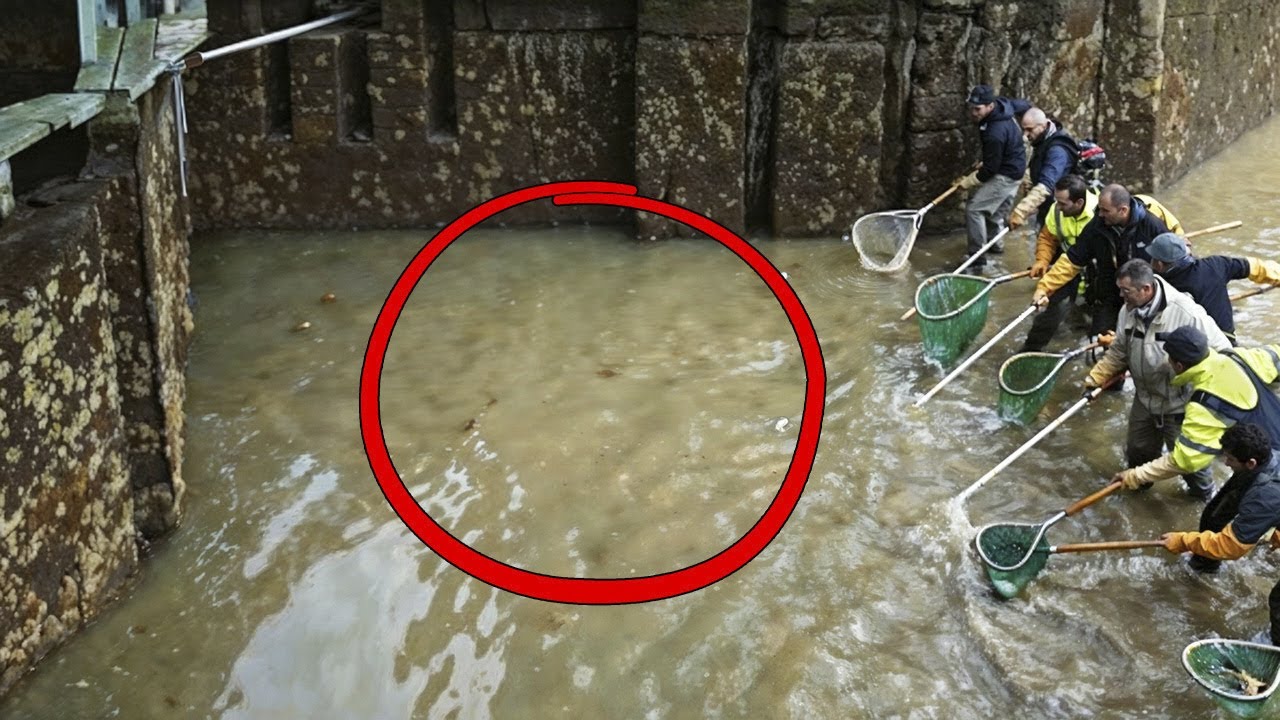 Eles Drenaram Este Canal de 200 Anos. O Que Eles Encontraram no Fundo É Incrível