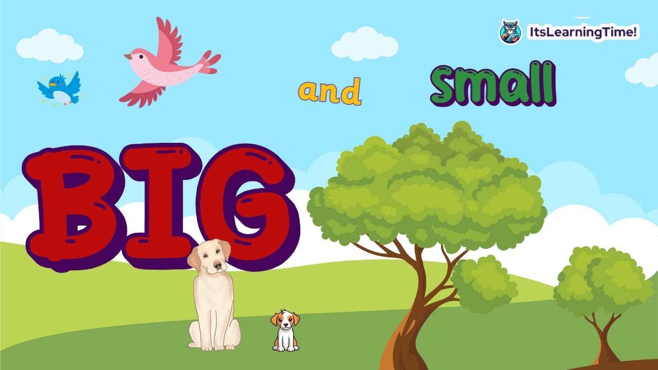 BIG and small | Comparing Sizes of objects | Learn Sizes in English