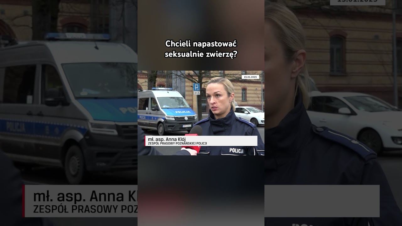 Wstrząsające fakty w sprawie porwanego strusia #news #wtk #struś #traperskaosada