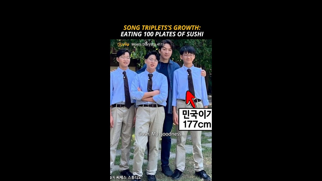 The Song Triplet's Growth 😍 | Mom's Diary