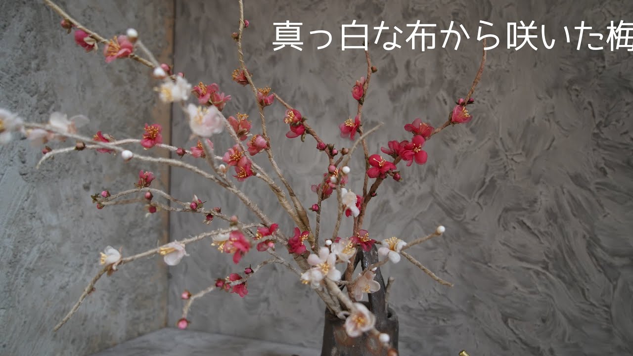 【布花で作る梅　Japanese Apricot】真っ白な布から咲いた布花