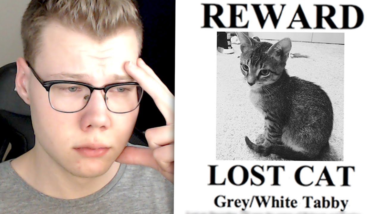 I LOST DUDE THE CAT.