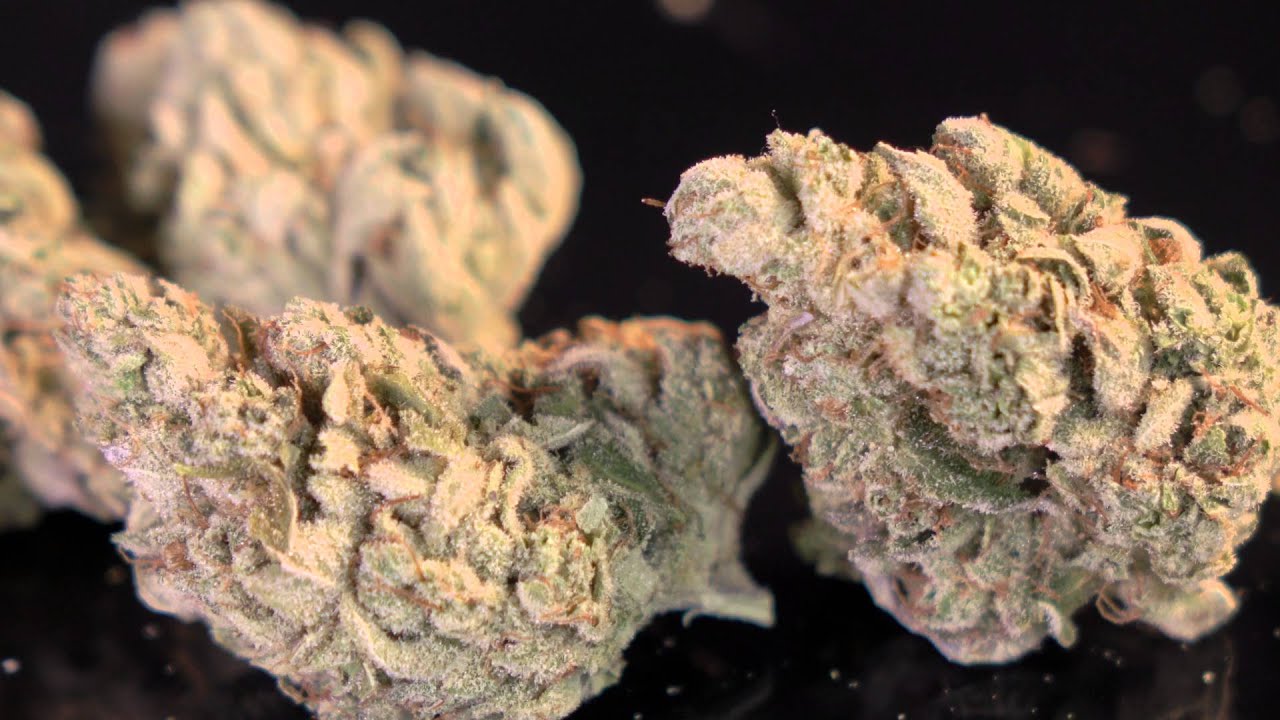 GORILLA GLUE #4 // NUG PORN // 4k HD