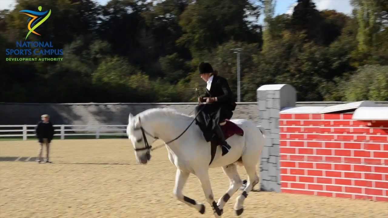 Susan Oakes - World Record - National Horse Sport Arena