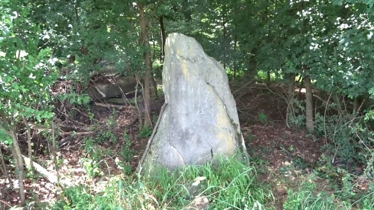 Der Geisterberg geheimnisvoller Bensenböhlskopf im Odenwald