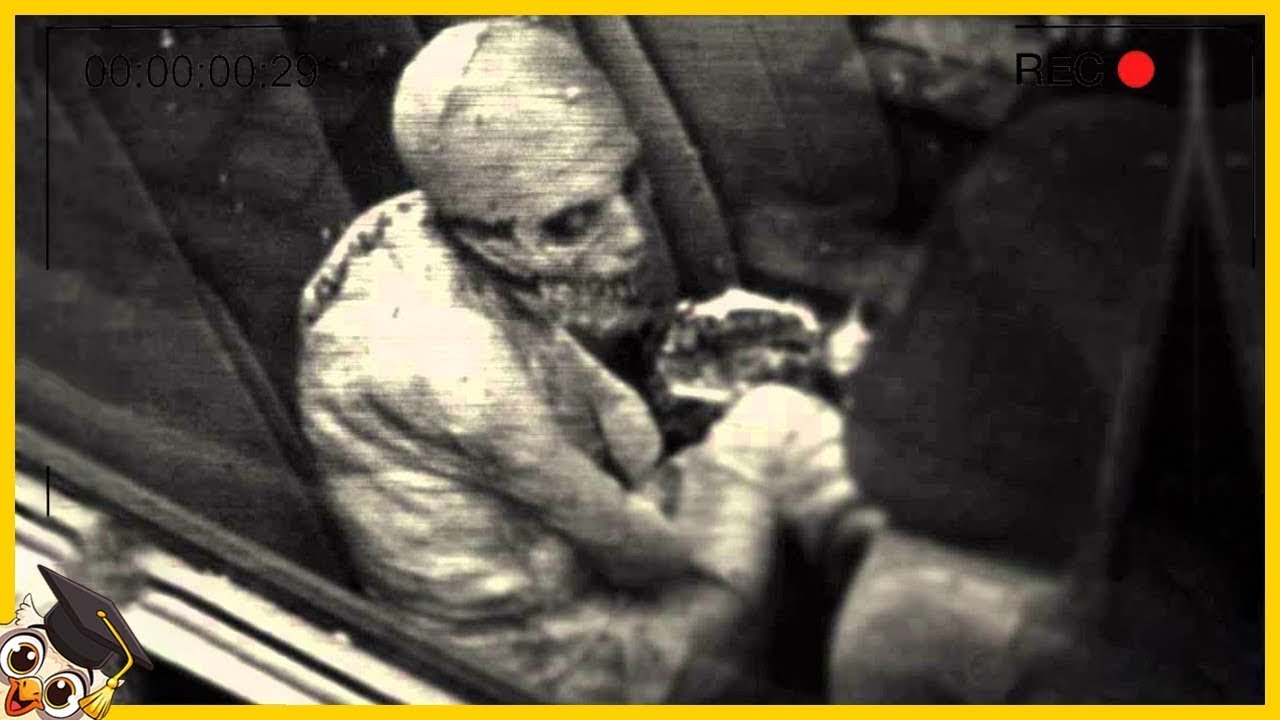 15 Creature SCP Filmati Dalle Telecamere Nella Vita Reale