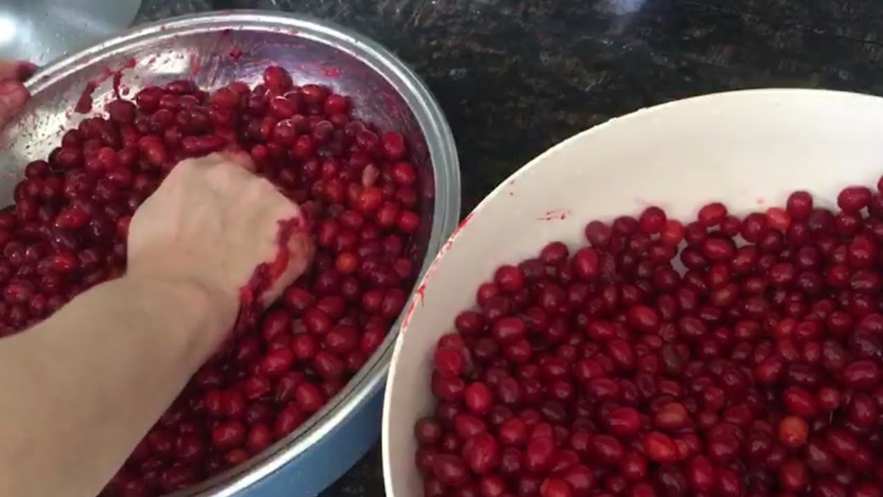 Çiğ Kızılcık Marmelatı ve Şurubu  Nasıl Yapılır! Gribe, Virüse Doğal Antibiyotik