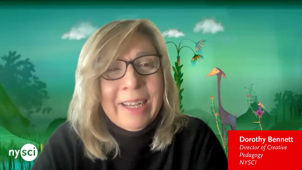 STEM Interview: Careers in Sustainability (Dorothy Bennett, Director of Creative Pedagogy, NYSCI)