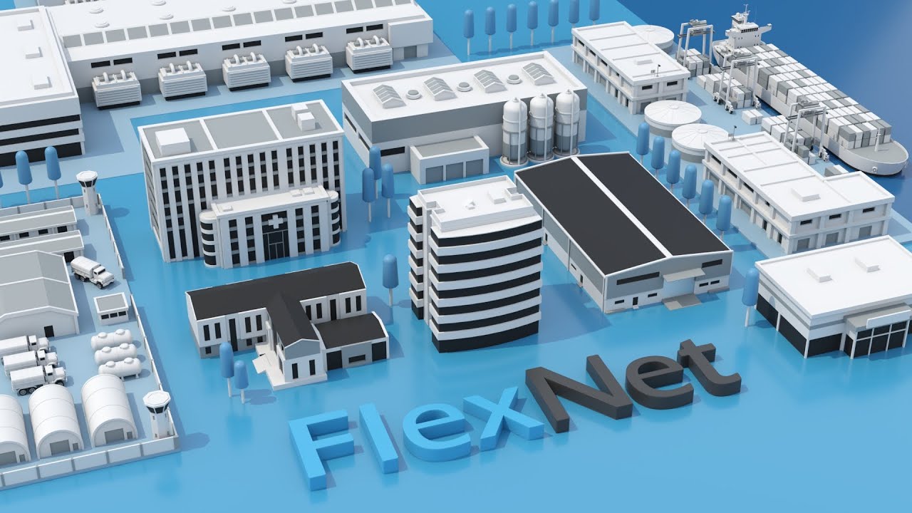 FlexNet Explainer Animation