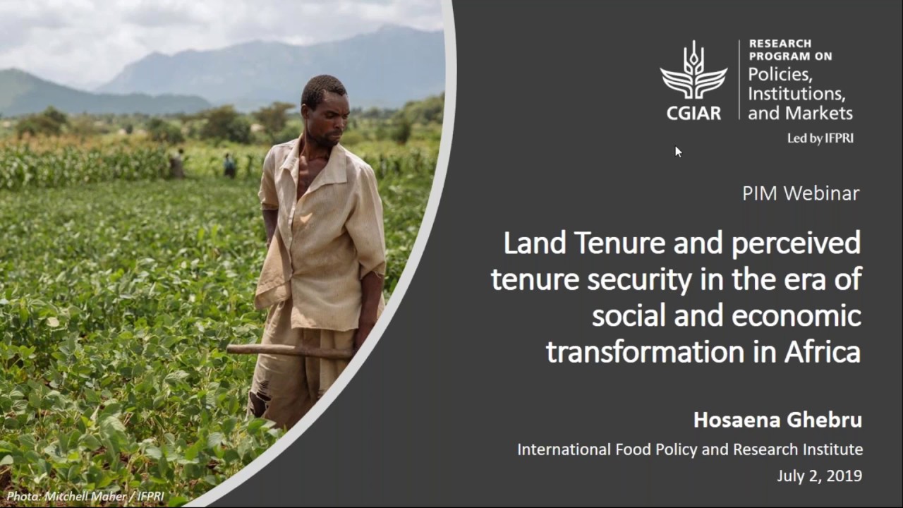 Land tenure and perceived tenure security in the era of social and economic transformation in Africa