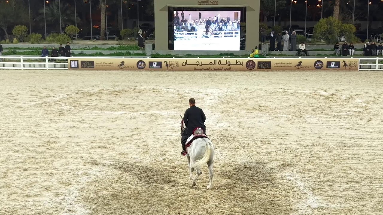 بطوله المرجان للخيول العربية