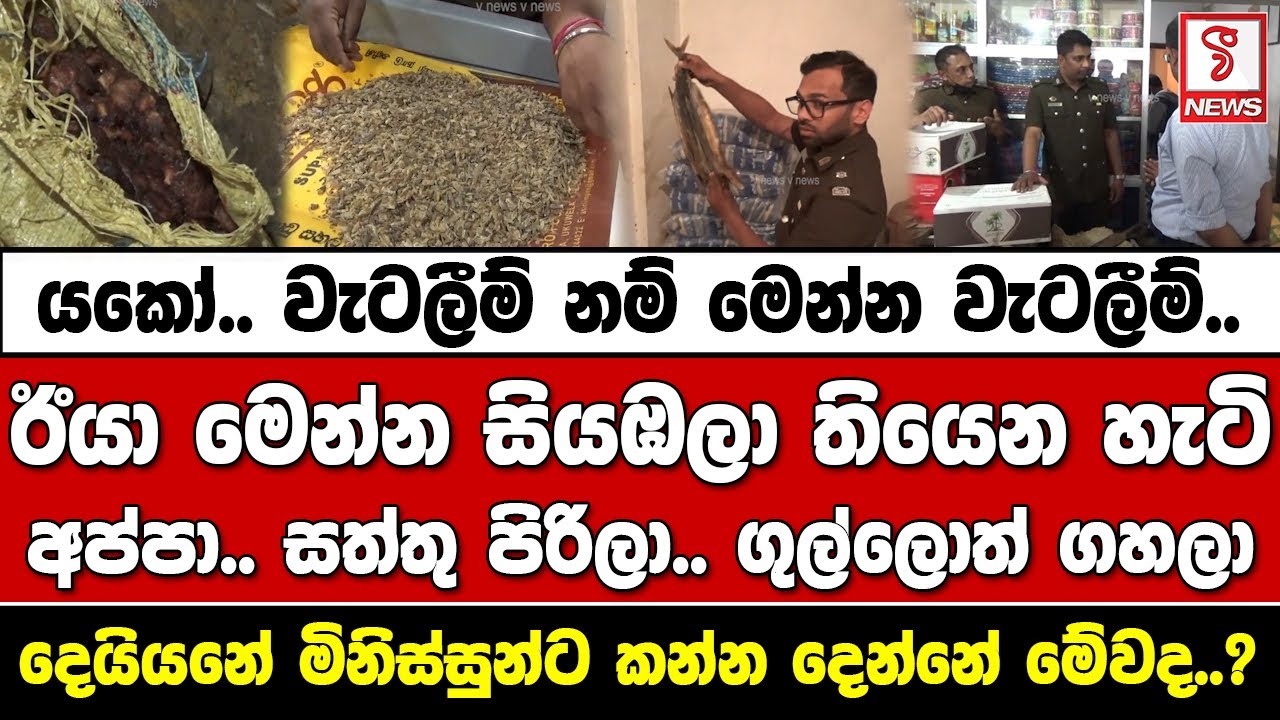 යකෝ.. වැටලීම් නම් මෙන්න වැටලීම්..ඊයා මෙන්න සියඹලා තියෙන හැටි -අප්පා.. සත්තු පිරිලා.. ගුල්ලොත් ගහලා..