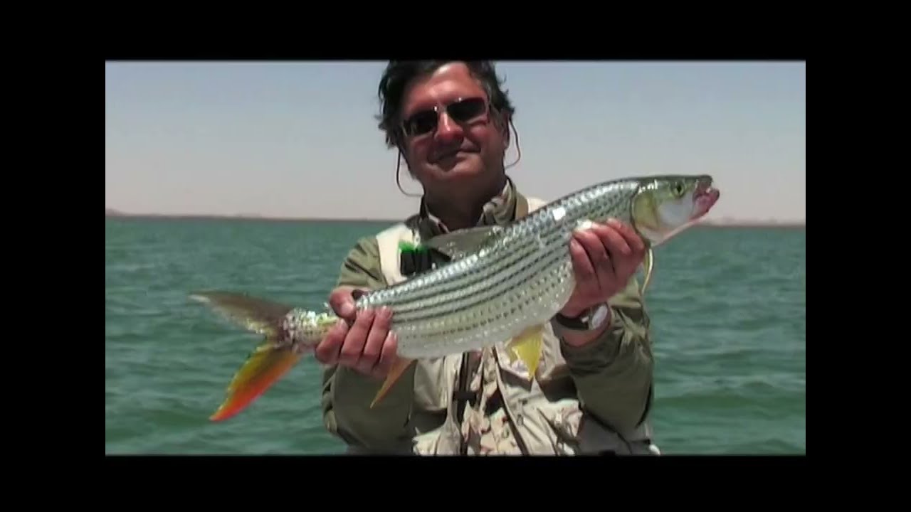 #2 Egipat 2004. Jezero Naser, ribolov | Milan Colić, deo  1/2