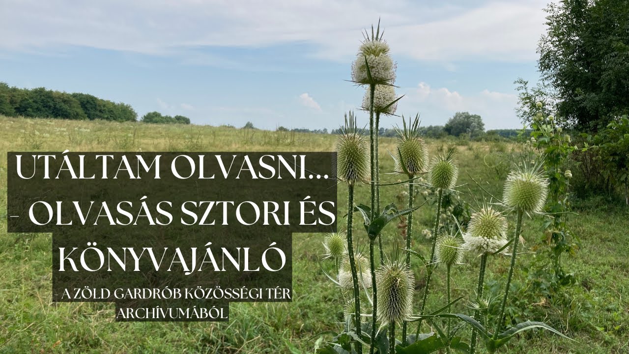 Olvasás sztori és könyvajánló - a Zöld gardrób közösségi tér archívumból