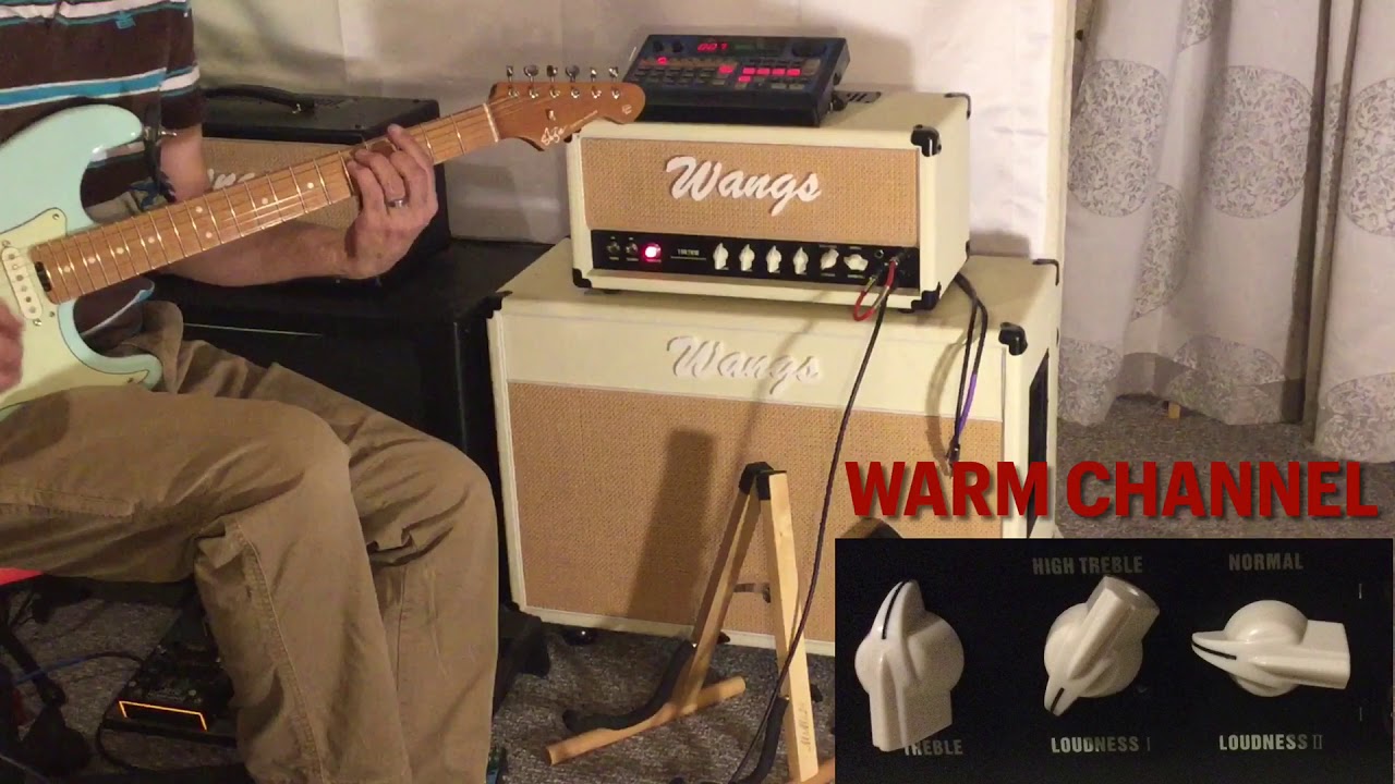 OMG! Is this Wangs new all tube amp-emulator !?  Wangs Amps