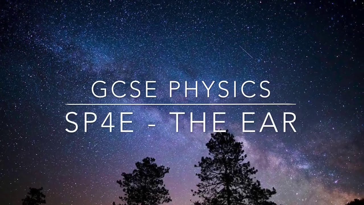 GCSE PHYSICS: SP4e - The Ear