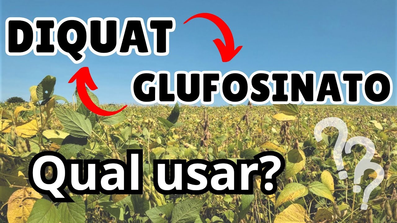 DIQUAT ou GLUFOSINATO? Qual usar na dessecação da SOJA??