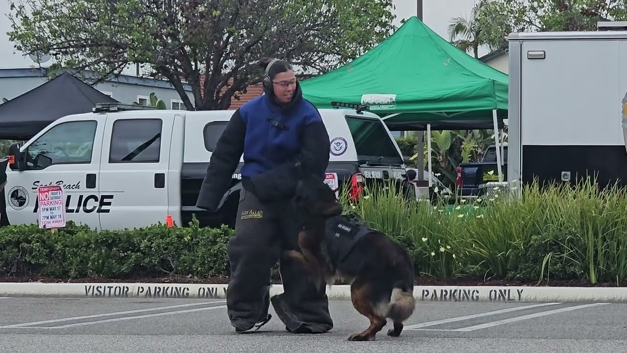 2024 Cypress Police Department Open House - K9 demonstration with Police Service Dog Bono