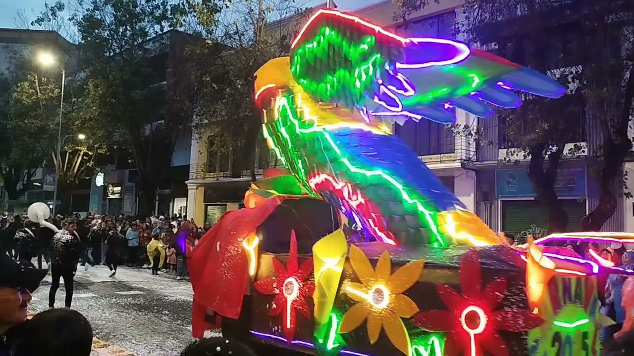 CARNAVAL DE LUCES Y COLORES 2025