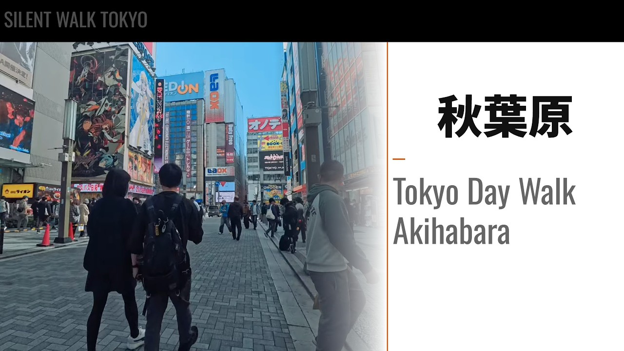 秋葉原 晴れ 週末 昼散歩【Tokyo Day Walk Akihabara Sunny Weekend POV】