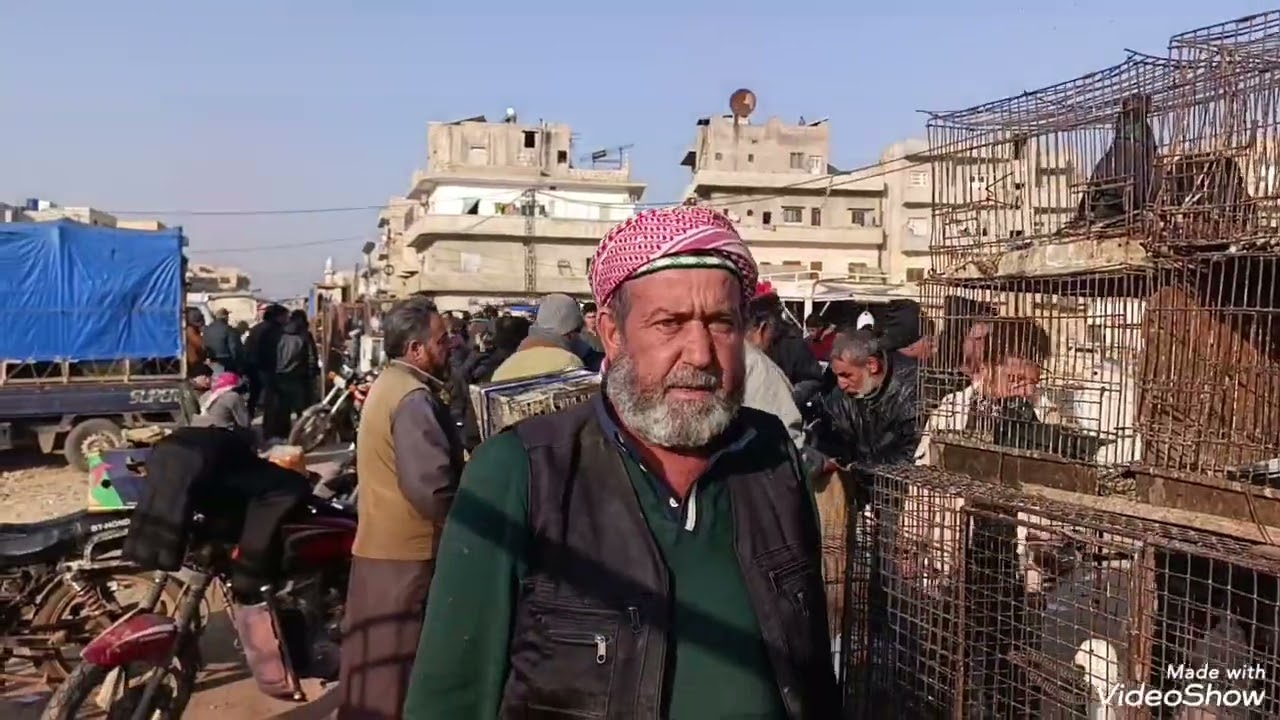 سوق معاره مصرين يوم الجمعة بتاريخ 2025/12/5بط وز دجاج حمام حركه السوق ممتازه رقم التواصل 0968103014