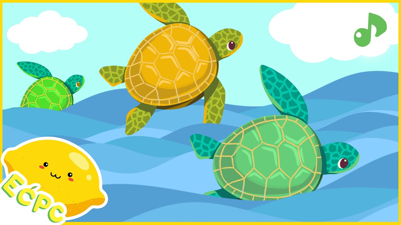 Turtle Song | ECPC - Nursery Rhymes Education & More @ECPC4U