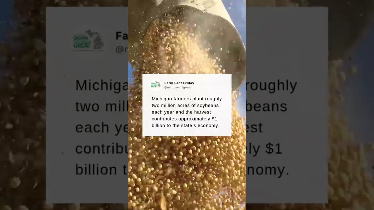 #FarmFactFriday Billion-Dollar Beans: Michigan Farmers Plant Big, Harvest Bigger