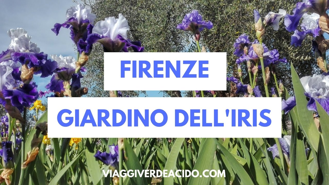 Giardino dell'Iris, Firenze - primavera in fiore a piazzale Michelangelo
