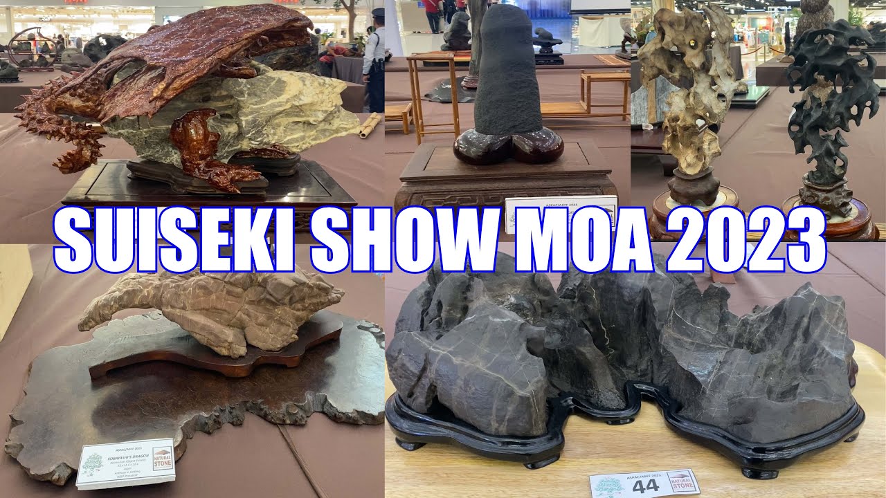 The Suiseki Exhibit at MOA | June 12 2023