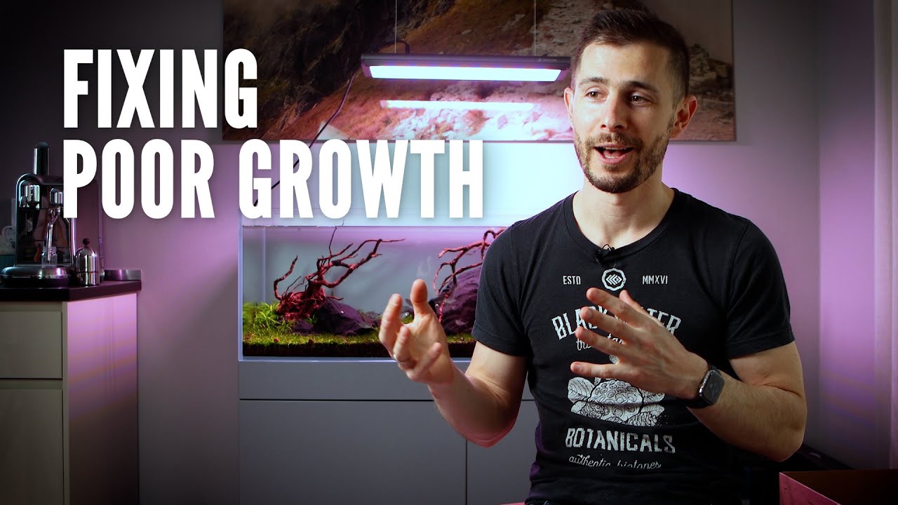 Diagnosing AQUARIUM PLANT PROBLEMS | What I Learned