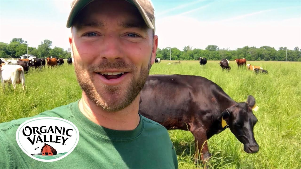 Benefits of Rotational Grazing | Jordan Settlage | Organic Valley